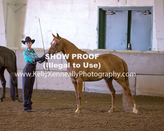 Region3_2015_Sun_0011 copy