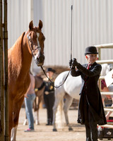 Region3_2015_Sun_0032 copy