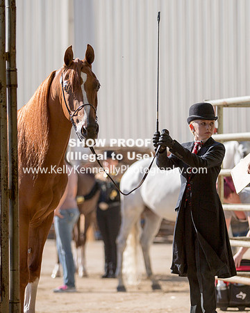 Region3_2015_Sun_0032 copy
