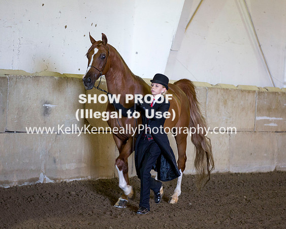 Region3_2015_Sun_0034 copy