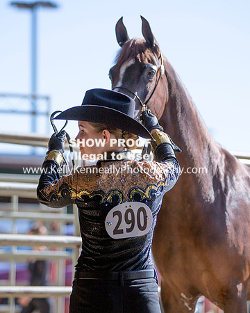 Region3_2015_Sun_0036 copy