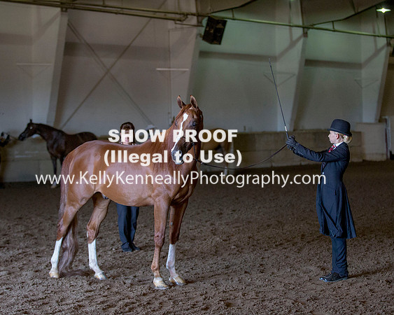 Region3_2015_Sun_0044 copy