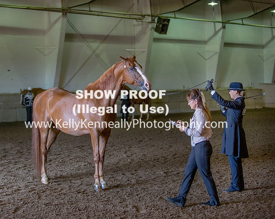 Region3_2015_Sun_0045 copy