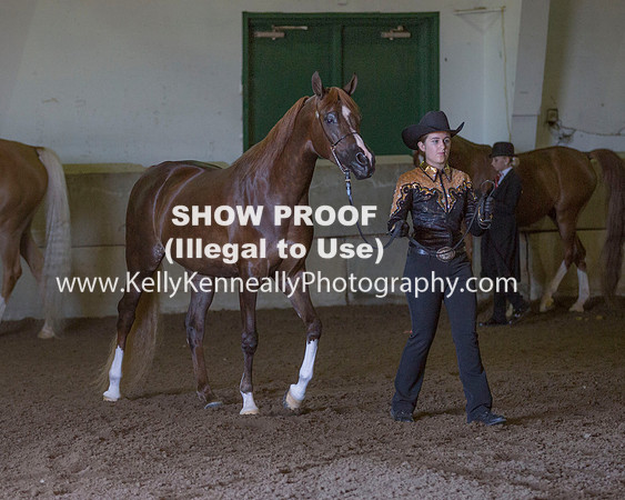 Region3_2015_Sun_0053 copy