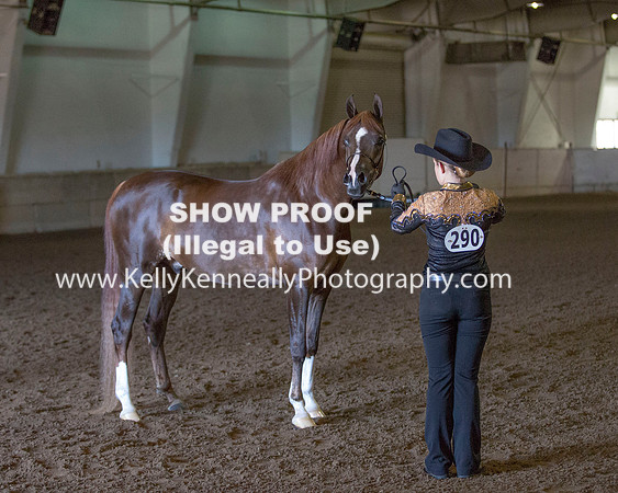 Region3_2015_Sun_0056 copy