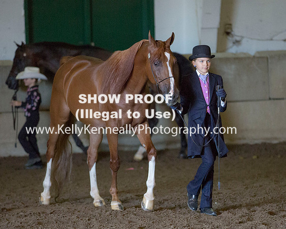 Region3_2015_Sun_0069 copy
