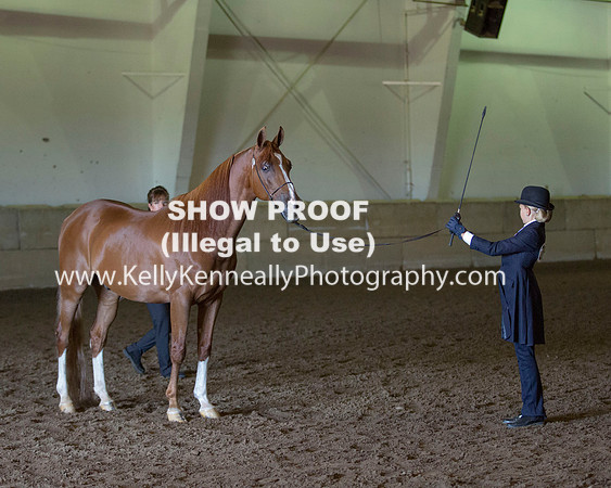 Region3_2015_Sun_0072 copy
