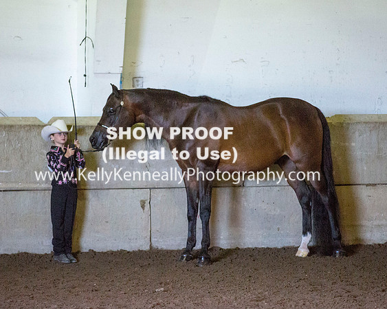 Region3_2015_Sun_0074 copy