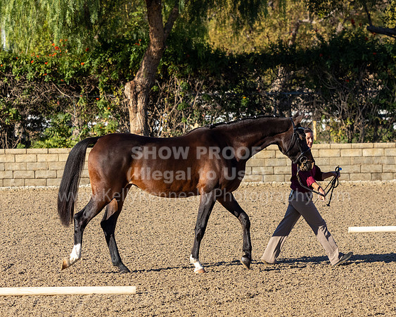 R2_SHC22_PS_0245