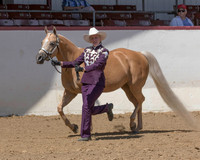 Classes 23-24 Showmanship