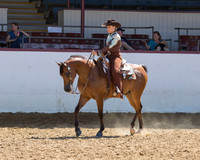 44 Western Pl - Limit Horse