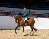 45 Arabian Hunter Pl - AATR Select