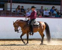 46 Arabian Western Pl - Jr Horse 5 & Under