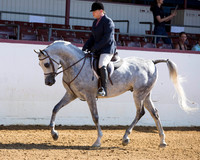 48 Arabian Hunter Pl - Limit Horse