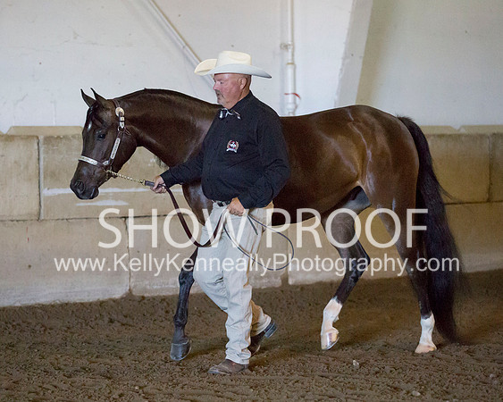 Region3_2015_Sun_0090 copy