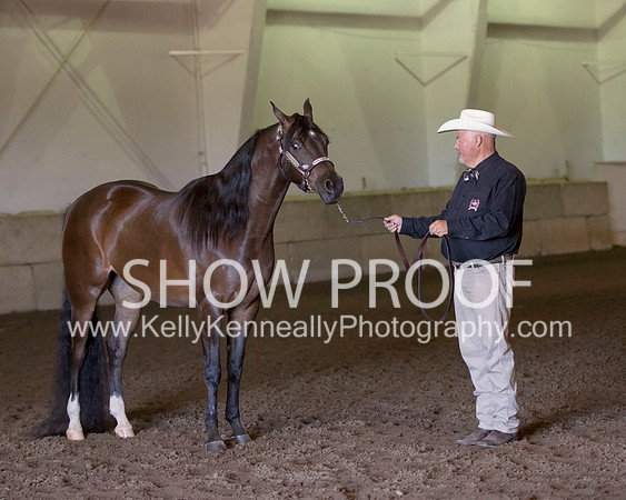 Region3_2015_Sun_0092 copy