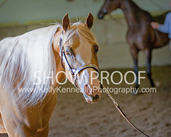 Region3_2015_Sun_0107 copy
