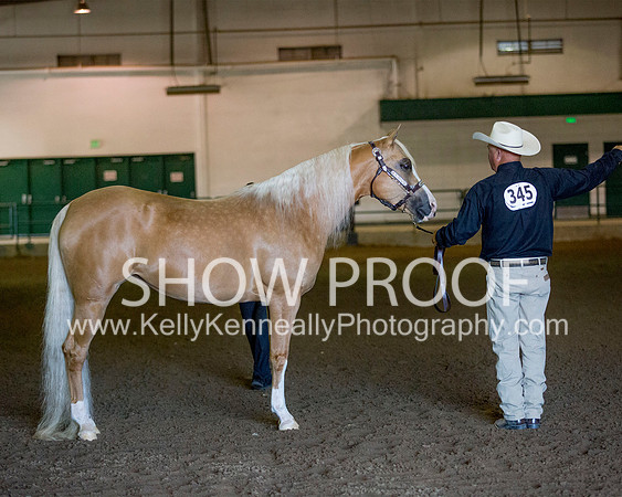 Region3_2015_Sun_0111 copy