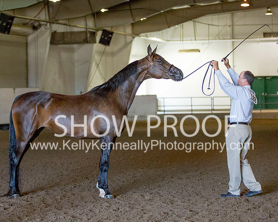 Region3_2015_Sun_0113 copy