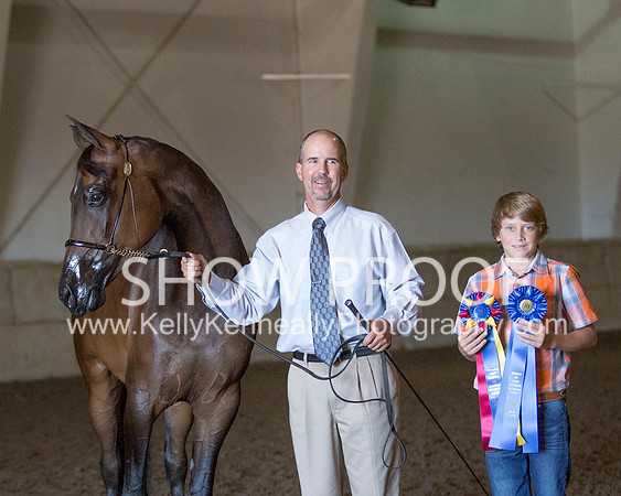 Region3_2015_Sun_0121 copy