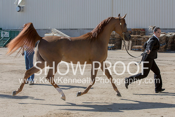 Region3_2015_Sun_0150 copy