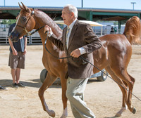 Region3_2015_Sun_0167 copy