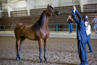 Region3_2015_Sun_0169 copy