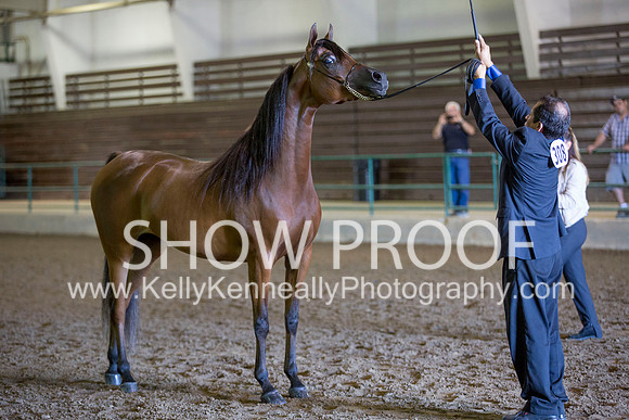 Region3_2015_Sun_0169 copy
