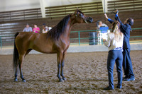 Region3_2015_Sun_0173 copy