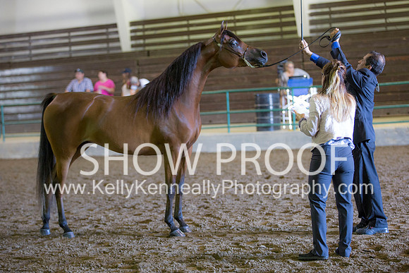 Region3_2015_Sun_0173 copy
