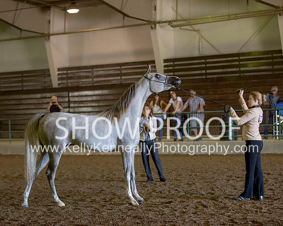 Region3_2015_Sun_0176 copy