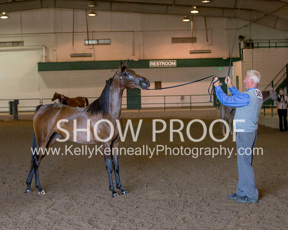 Region3_2015_Sun_0183 copy
