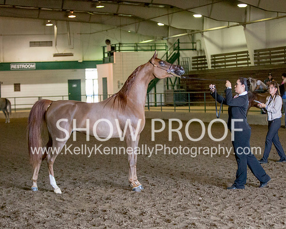 Region3_2015_Sun_0190 copy