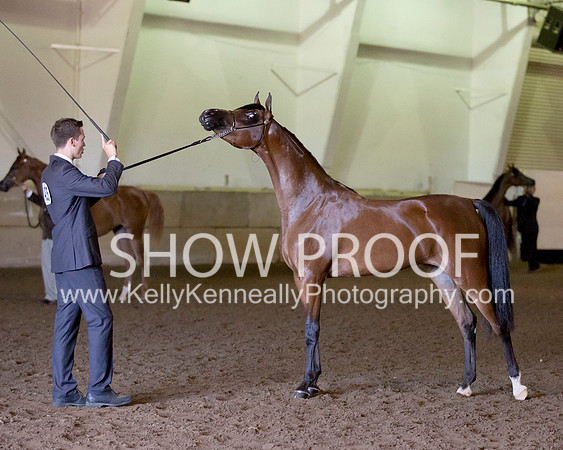 Region3_2015_Sun_0214 copy