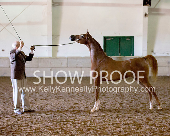 Region3_2015_Sun_0226 copy