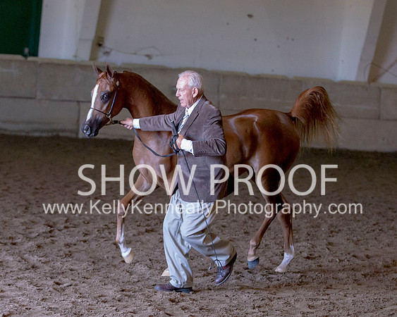 Region3_2015_Sun_0229 copy