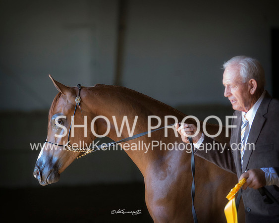 Region3_2015_Sun_0239 copy