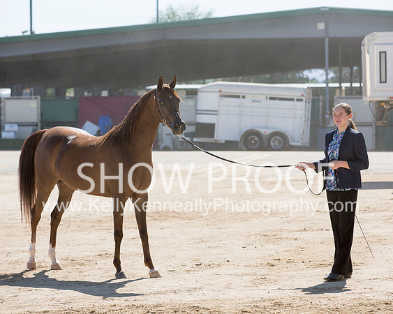 Region3_2015_Sun_0261 copy