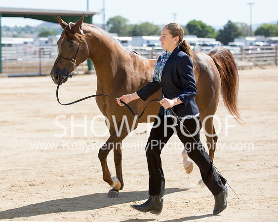 Region3_2015_Sun_0271 copy