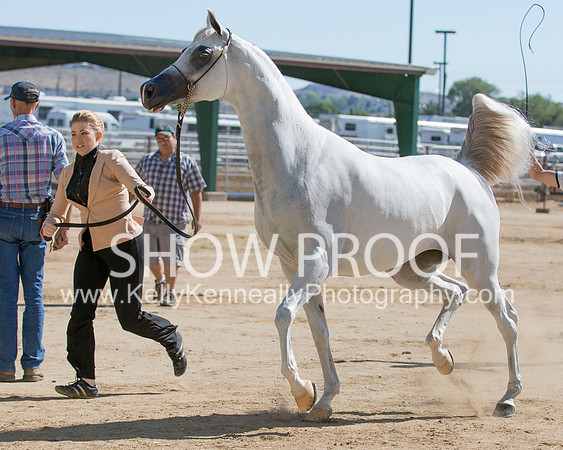 Region3_2015_Sun_0279 copy