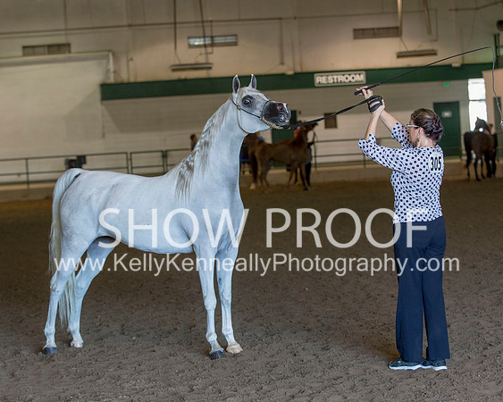 Region3_2015_Sun_0323 copy