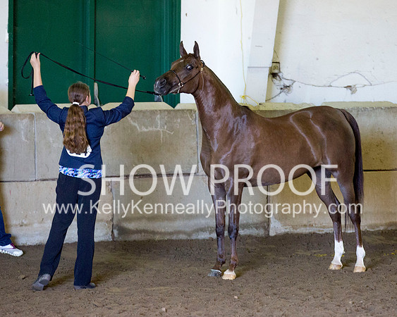 Region3_2015_Sun_0328 copy