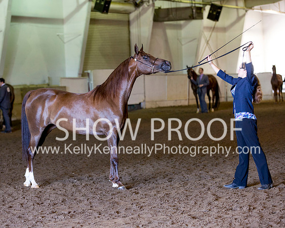 Region3_2015_Sun_0330 copy