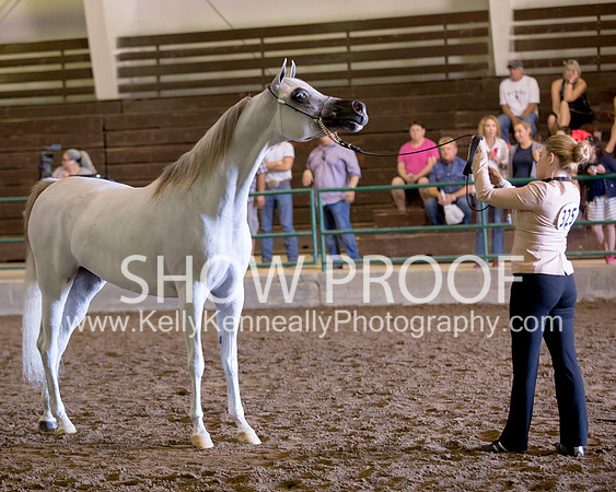 Region3_2015_Sun_0331 copy