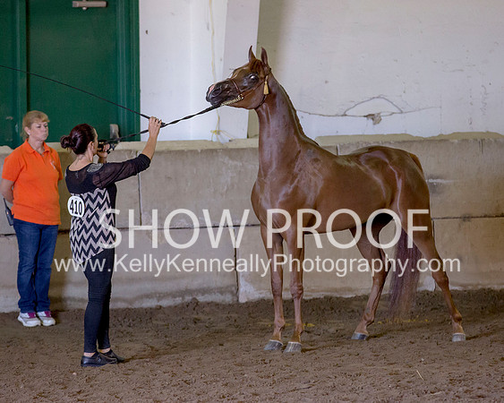 Region3_2015_Sun_0351 copy