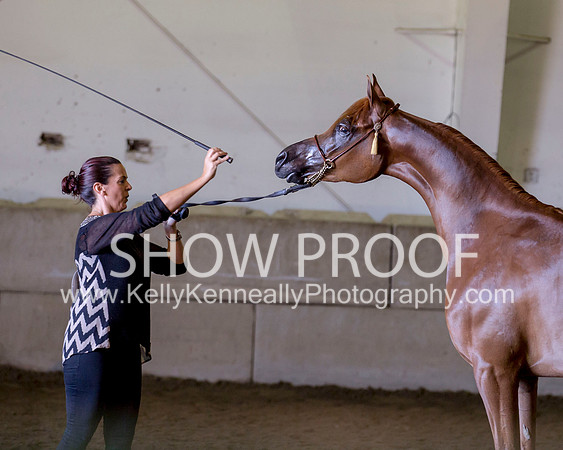 Region3_2015_Sun_0353 copy