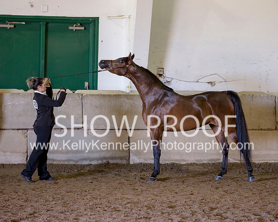 Region3_2015_Sun_0354 copy