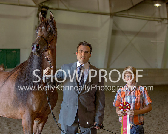 Region3_2015_Sun_0379 copy