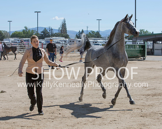 Region3_2015_Sun_0394 copy