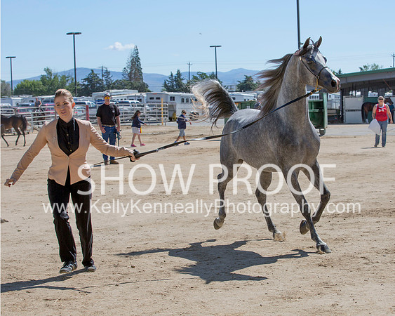 Region3_2015_Sun_0395 copy